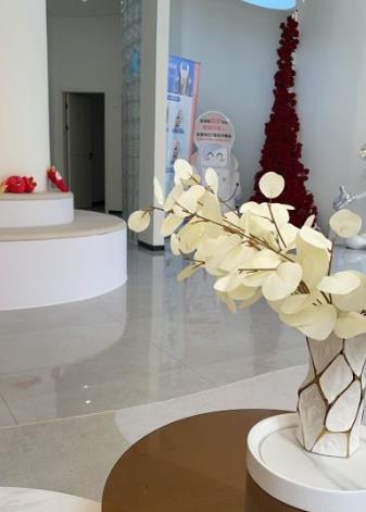 ������������ҽ����������