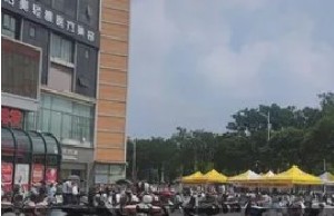 �d�������p���t(y��)�������\��