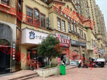 �����ҽ����������