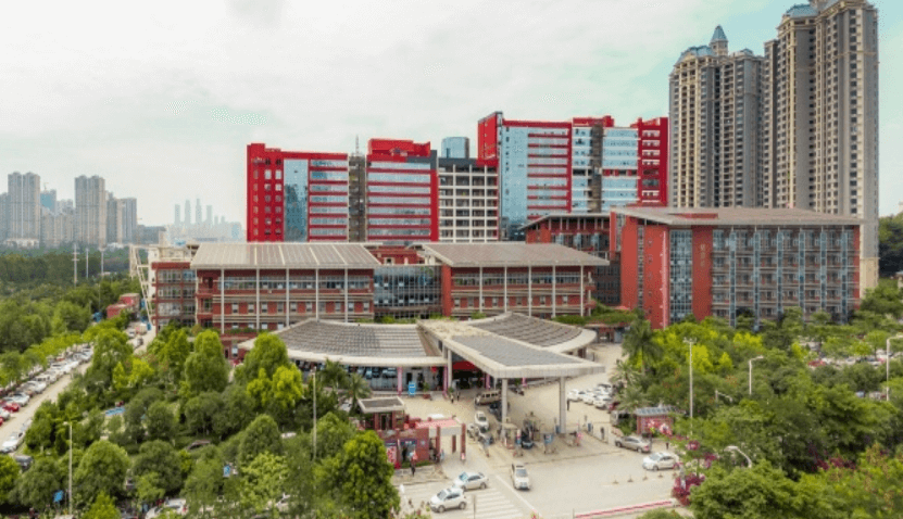 ����׳�����������ױ���ԺƤ�����ݿ�