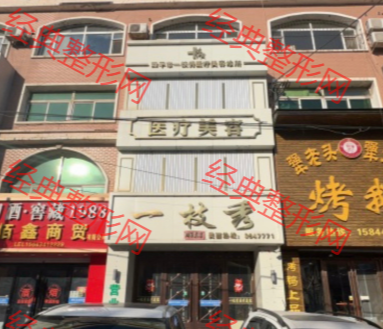 ��ƽһ֦���t(y��)�������\��