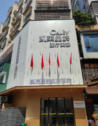 ���(y��ng)�P�R���g�t(y��)�������\��