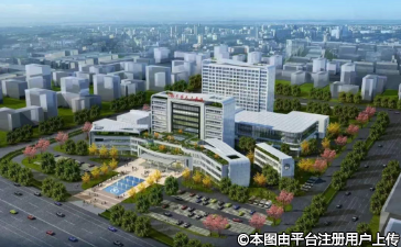 ���S�h�����t(y��)ԺƤ�w���ݿ�