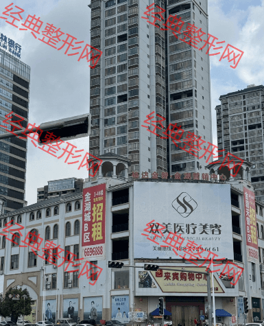 ����˫��ҽ����������