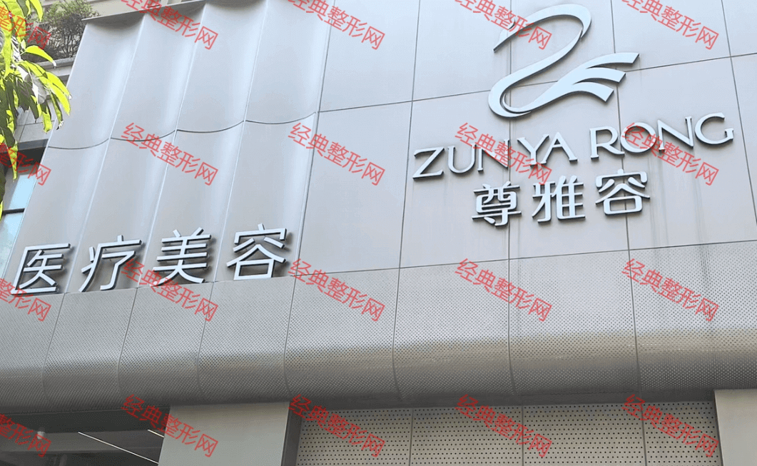 �B���������t(y��)�������\��