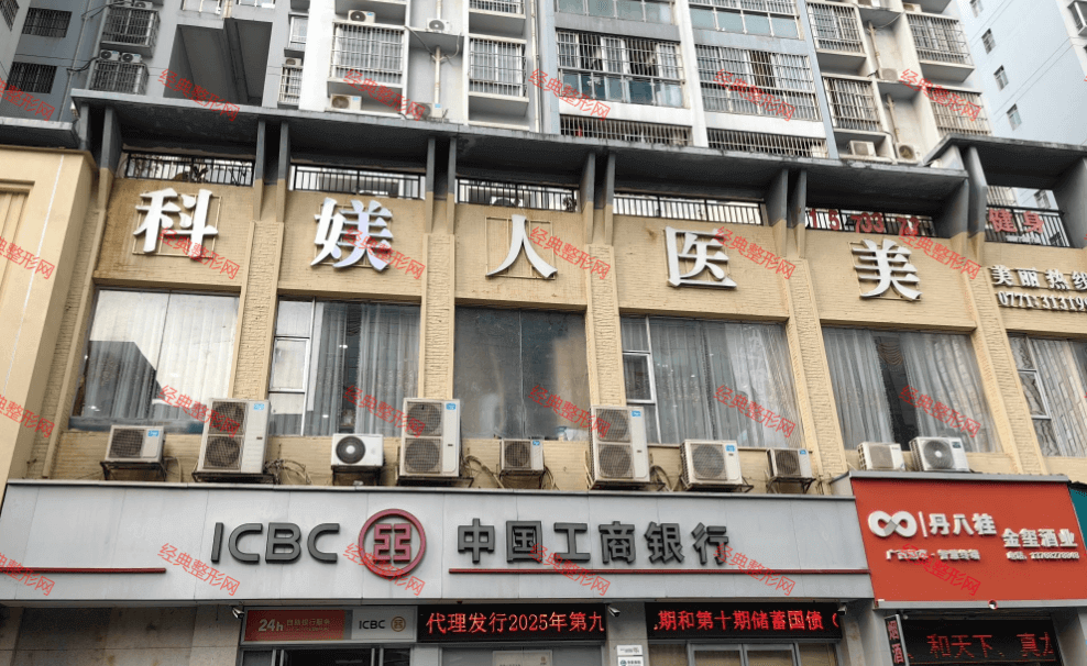 �ό��ƋZ���t(y��)�������\��