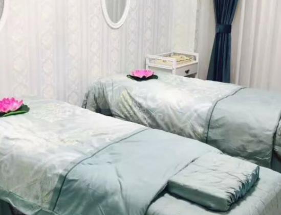 տ����̩���������t(y��)Ժ������