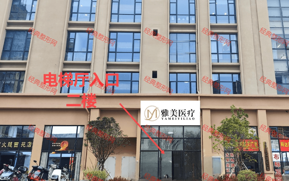 ���������t(y��)�������\��