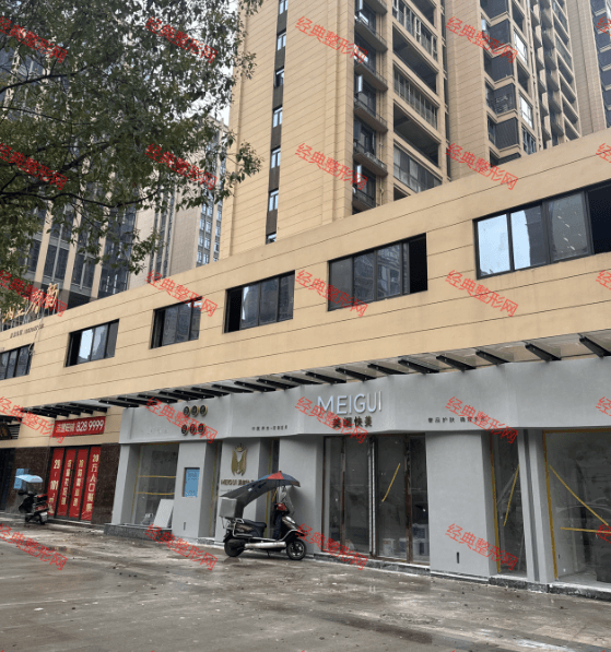 ���(y��ng)���|�����t(y��)�������\��