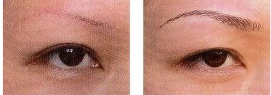 �yüЧ����(du��)�ȈD