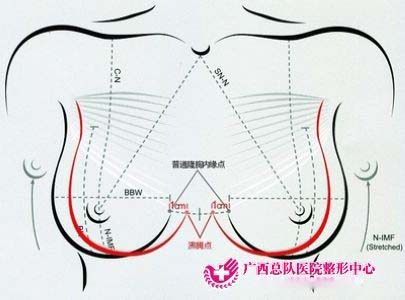 �S�،�(sh��)���ɣ����v���S���g(sh��)