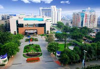 �������������g���挍����