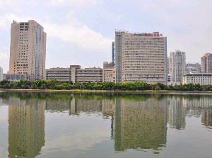 口述腹壁整形術(shù)的真實(shí)案例