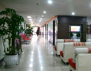 ���������Ư�����挍����