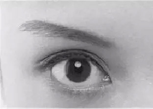 ���m���ķN�p��Ƥ�������Ό��T�t(y��)�S�٘s���V��