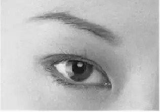 ���m���ķN�p��Ƥ�������Ό��T�t(y��)�S�٘s���V��