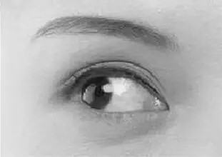 ���m���ķN�p��Ƥ�������Ό��T�t(y��)�S�٘s���V��