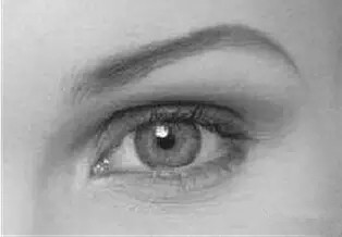 ���m���ķN�p��Ƥ�������Ό��T�t(y��)�S�٘s���V��