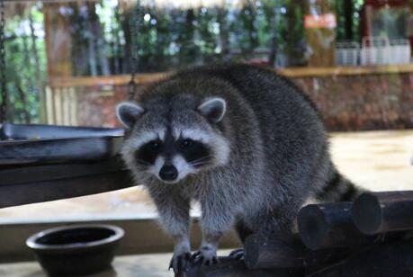 ����ҹ�ε�����Ŀ�ĵء�������ǧ���龰