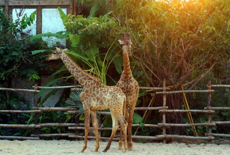 ����ҹ�ε�����Ŀ�ĵء�������ǧ���龰