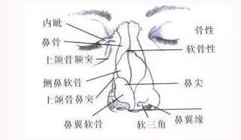 ���Ї�����֮�������H�R�A���t(y��)(li��n)���������ߌ�(sh��)�F(xi��n)���ǉ�(m��ng)