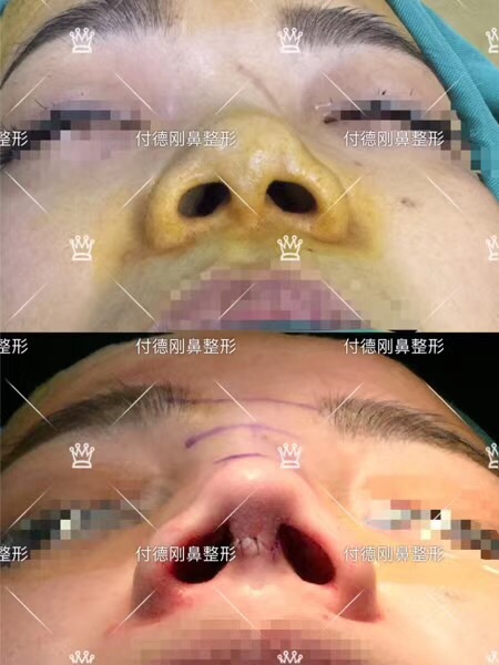 ��˾�T�SС���w�(y��n)¡����������������