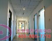 DGS���w֬��������ֲ�ɹ�����