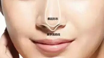 ����¡�������ÿ��Լ���ͷ