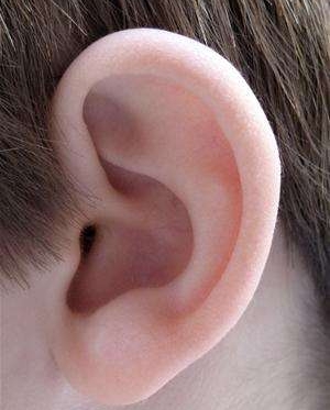 ���������ޏ�(f��)���(hu��)׃�Ά�