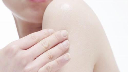 Ƥ����ֲ������������׼����������Щ