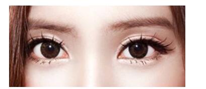 2019���p��Ƥ������������һ�N���m���Լ�