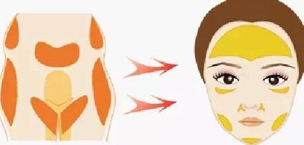 ���w֬���沿���׌�ɰT��Ę�֏�(f��)�ഺ