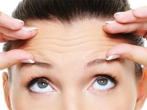 ���g���L�g֮늲���Ƥ�m���Ă����g��