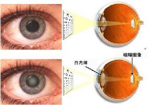 �ί��׃�(n��i)�ϱ��^�õĕr�g��ʲô�r��