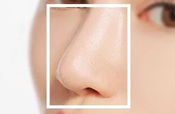 ���W(xu��)�����������ĸ��V�㣬�@Щ�����(xi��ng)Ŀ�m���ϴ�W(xu��)ǰ��