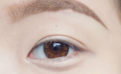 �P�Q�����g(sh��)��׌�۾����@��Ƥ�ɐ�