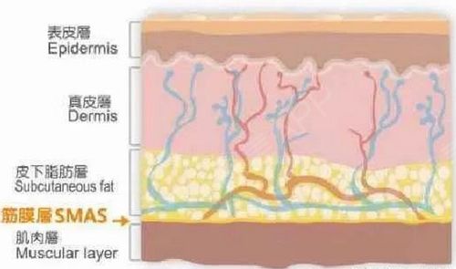 ���՟��c����ʲô�ܶ��˲���30�q��Ę���_ʼ������