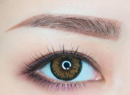 ���N��Ҋ�ļyü��ͣ����m���ķN