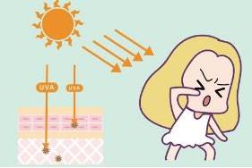 �������������w�����w�|(zh��)