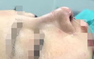 ¡�����g���ː����g��׌����Ј�ͦ�ı���