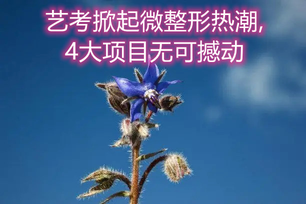 ˇ������΢���Οᳱ,4���(xi��ng)Ŀ�o(w��)�ɺ���(d��ng)