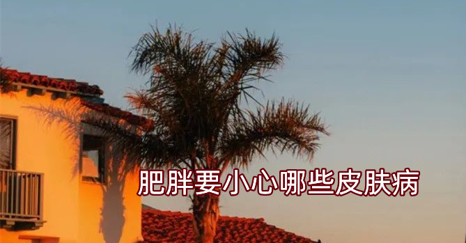 �����ա�����ҪС����ЩƤ�w��