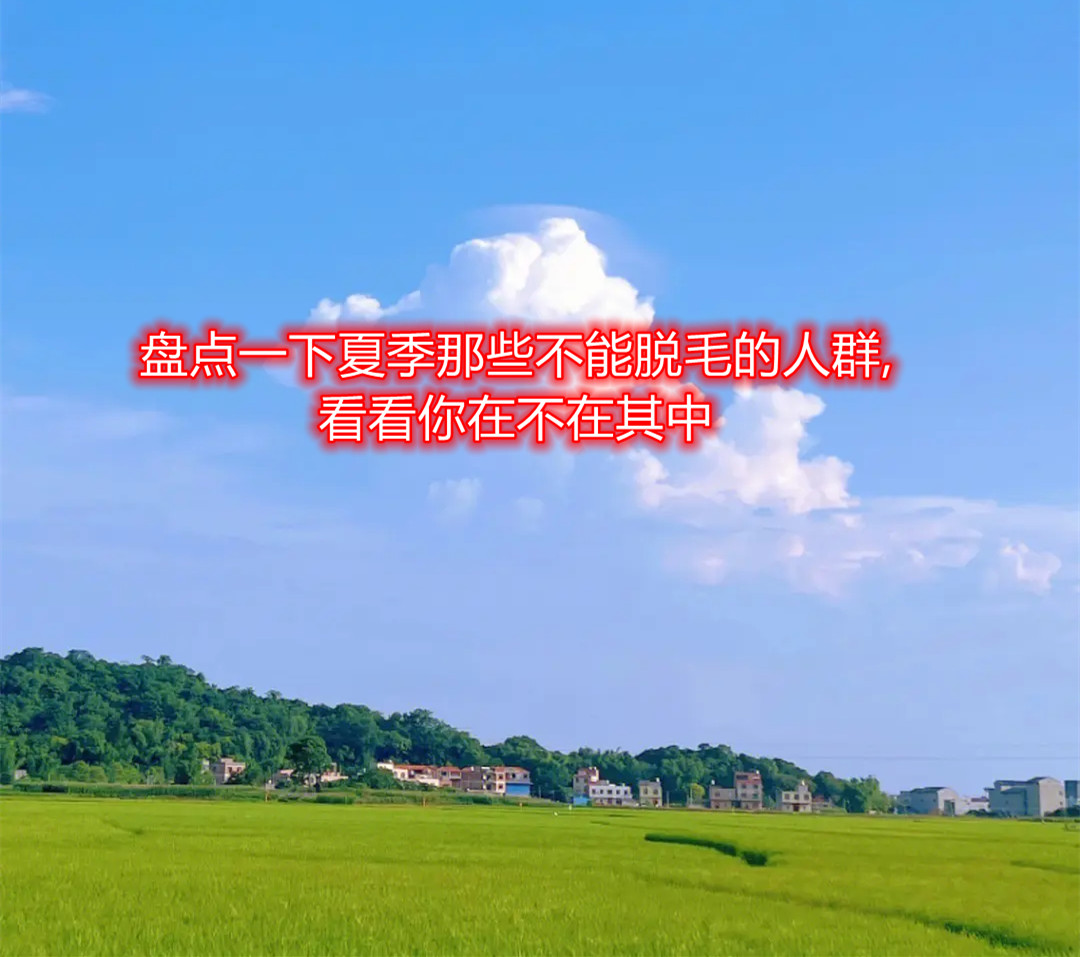 �P(p��n)�c(di��n)һ���ļ���Щ����Óë����Ⱥ,�������ڲ�������