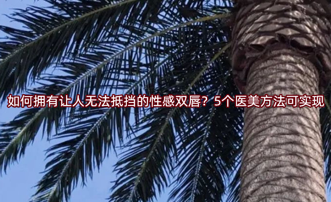 ��Γ���׌�˟o���֓����Ը��p����5���t(y��)�������Ɍ��F(xi��n)