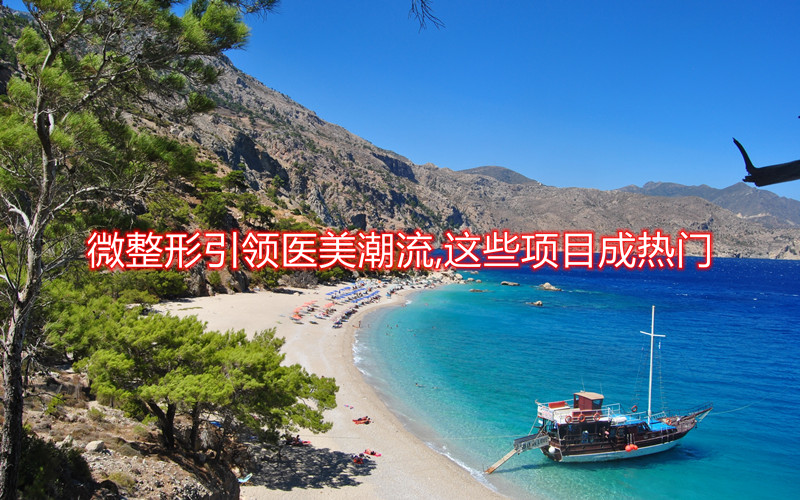 ΢�������I(l��ng)�t(y��)���������@Щ�(xi��ng)Ŀ�ɟ��T