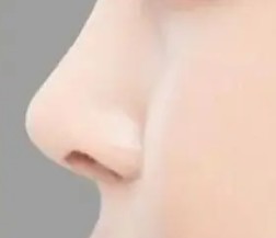 ���ֻ��2�f��Ԫ���A(y��)����ԓ�x�ķN���wܛ�ǁ�¡��