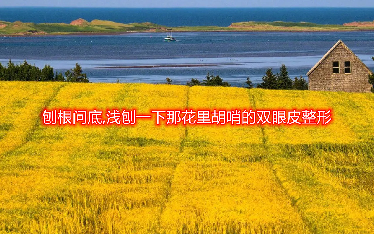 �ٸ�����,�\��һ���ǻ�����ڵ��p��Ƥ����