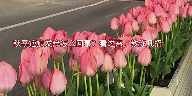 �＾�̺۰l(f��)�W��ô���������^�����������