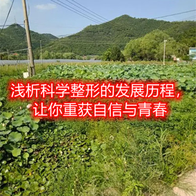 �\���ƌW(xu��)���εİl(f��)չ�v����׌���ث@�����c�ഺ