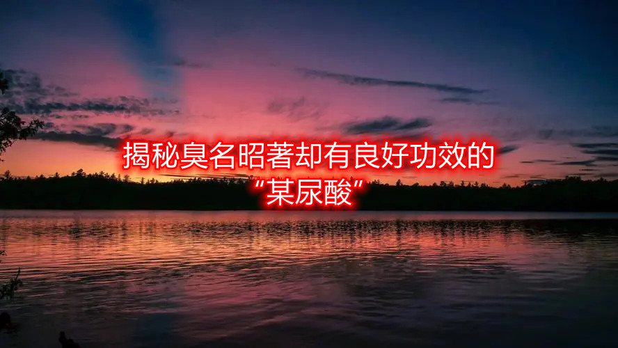 ���س��������s�����ù�Ч�ġ�ĳ���ᡱ